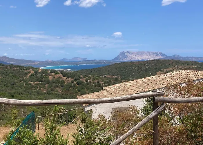 度假居 Agrustos Paradise 布多尼