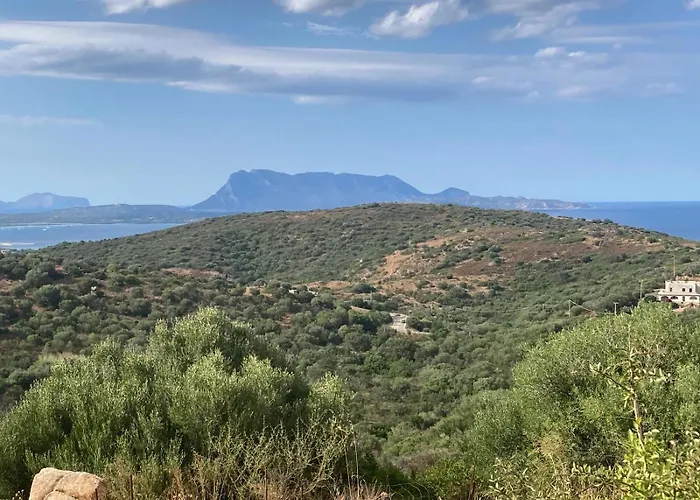 Agrustos Paradise * 布多尼