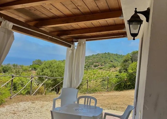 Agrustos Paradise 布多尼